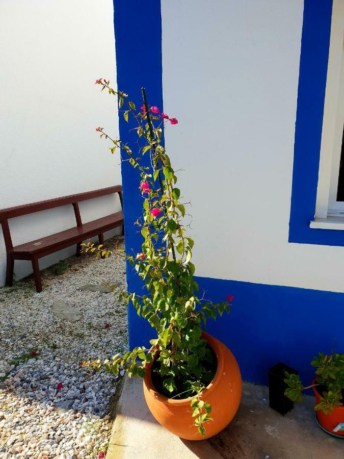 Casa Do Avo To Βίλα Reguengos de Monsaraz Εξωτερικό φωτογραφία