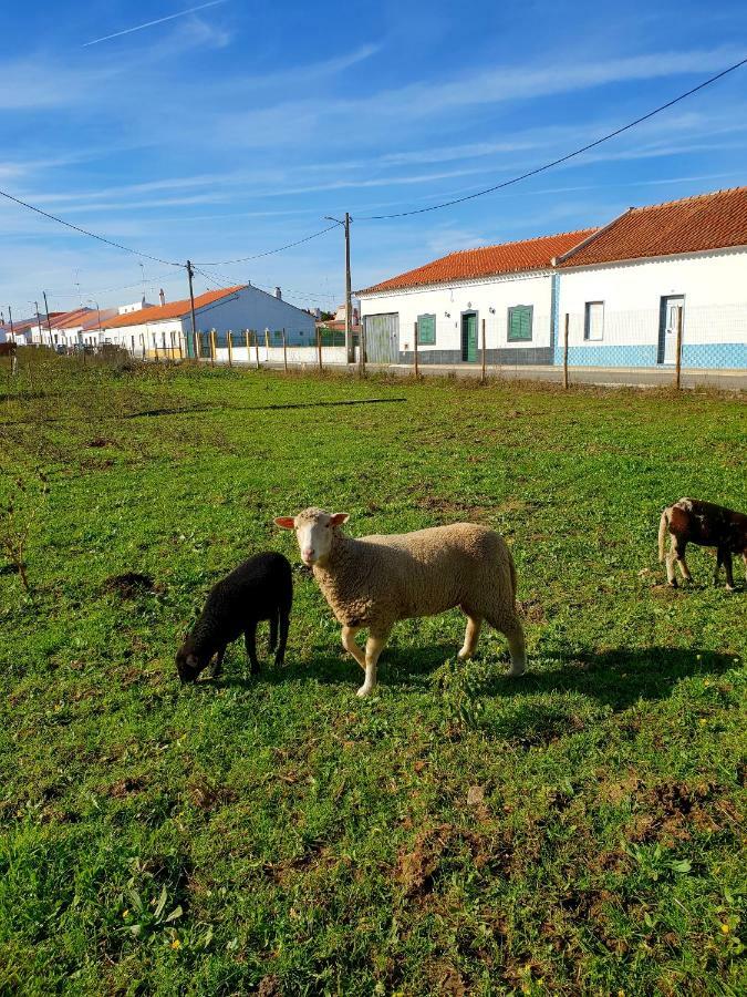 Casa Do Avo To Βίλα Reguengos de Monsaraz Εξωτερικό φωτογραφία
